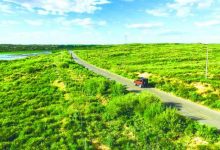 2020年7月2日国内外时政日报-师正教育_育师