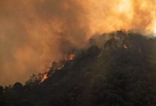 2020年4月1日国内外时政日报-师正教育_育师